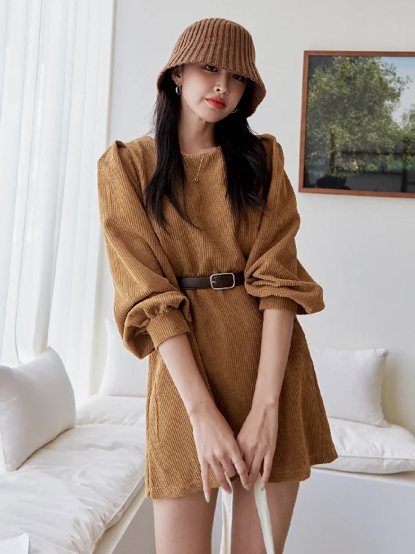 Everyday Outfits Plain Long Sleeve Round Neck Straight High Waist Short Dress